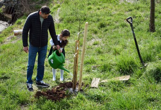 Die neu gepflanzten Bäume vom Baumpflanzfest, werden von einem Mitarbeiter und seiner Tochter gemeinsam gegossen.