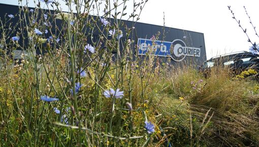 Compliance und soziales Engagement