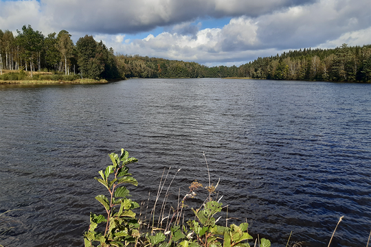 Da arbeiten, wo andere Urlaub machen, das geht im Transportgewerbe. Man kommt ueberall hin. Hier ein See mit Wald.